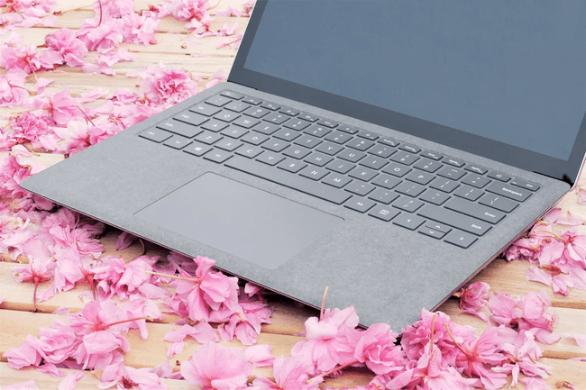 Surface Laptop 4 sur un lit de pétales de fleurs