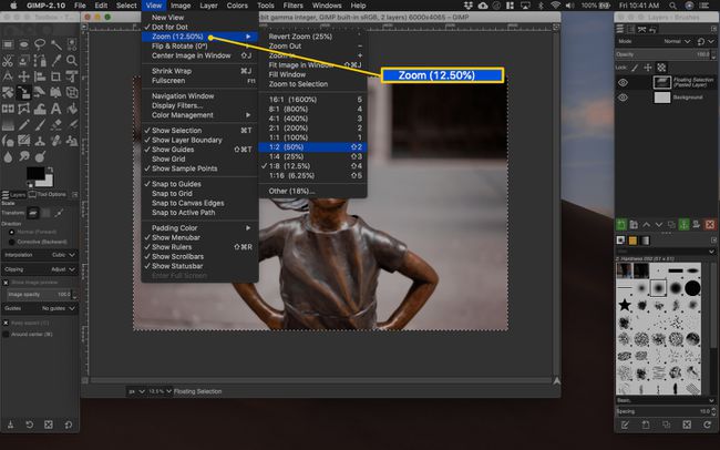 Zoom-Menü in Gimp für macOS