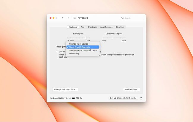 Tastaturindstillinger på macOS Big Sur indstilling af fn-tastfunktionen
