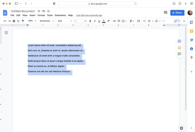 Um Google Doc com várias frases, cada uma em sua própria linha e com todo o texto selecionado