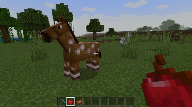 Hevosen ruokkiminen omenoilla Minecraftissa