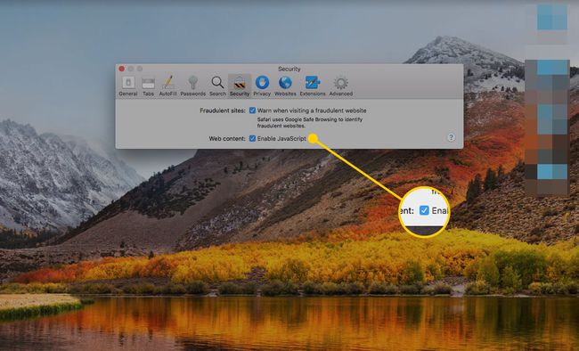 Preferencias de seguridad en Safari con el cuadro Habilitar JavaScript resaltado
