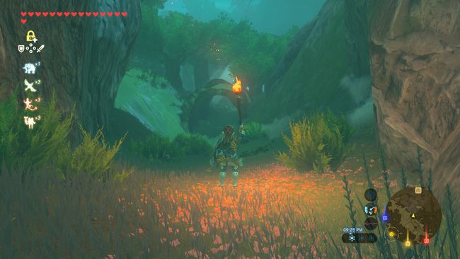 Sosind la pădurea Korok în The Legend of Zelda: Breath of the Wild.