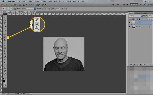 Het penseel in Photoshop