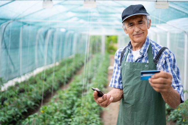 Agricultor senior escaneo de tarjeta de crédito con Safari en su iPhone en invernadero