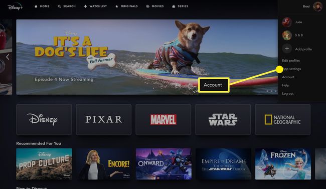 Meniul contului site-ului Disney Plus.