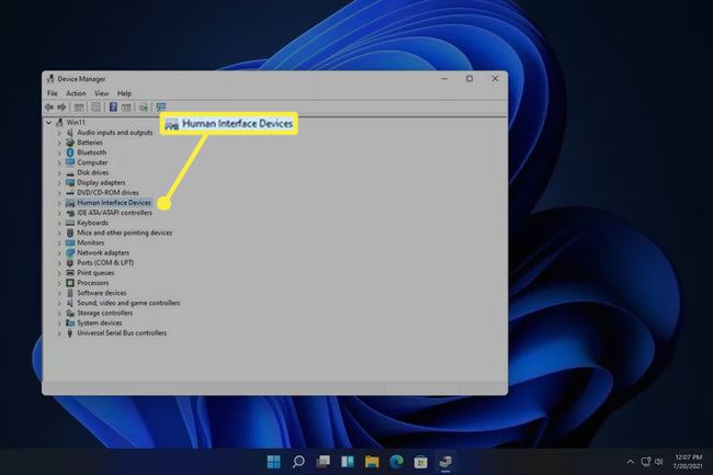 Categoria Dispozitive cu interfață umană evidențiată în Windows Device Manager