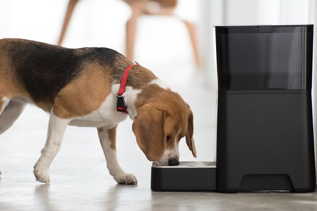 PetNet Smart Feederiga saate kasutada Google Home'i oma lemmiklooma toitumisvajaduste haldamiseks.