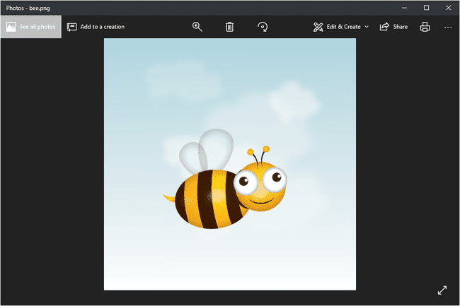 Een afbeelding van een bij geopend in de Windows 10 Foto's-app