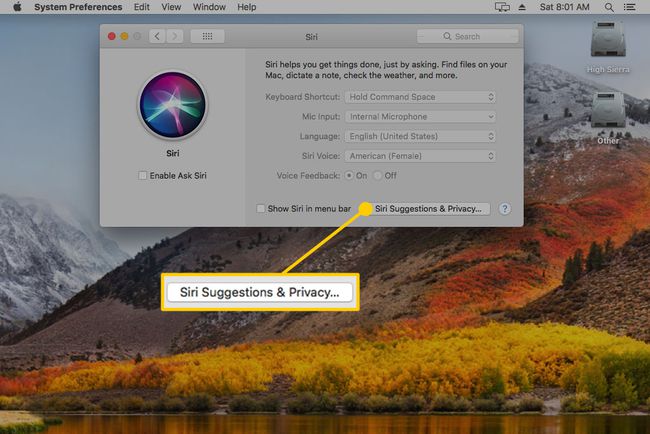 Sugestões e privacidade da Siri nas configurações da Siri em um Mac