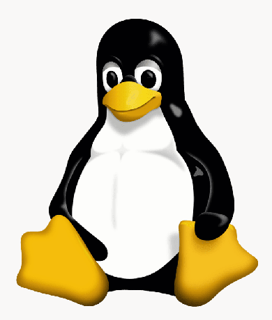 Linux vs GNULinux