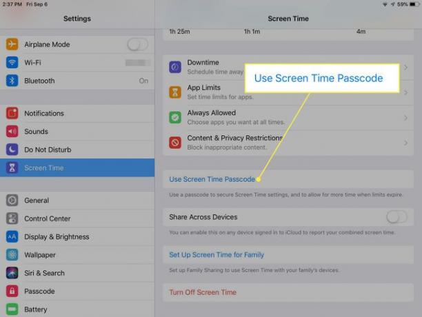 Una captura de pantalla de la configuración del iPad con el comando Usar contraseña de tiempo de pantalla resaltado