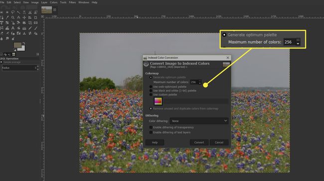 Posnetek zaslona GIMP-jevega okna za pretvorbo indeksiranih barv z označenimi možnostma " Ustvari optimalno paleto" in " Maksimalno število barv".