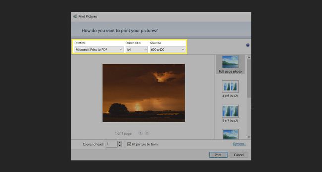 Caseta de dialog Windows Print Pictures cu Microsoft Print to PDF selectat.