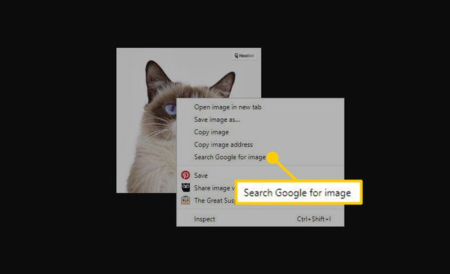 Екранна снимка на менюто с щракване с десния бутон върху изображение с маркирано „Търсене в Google за изображение“.