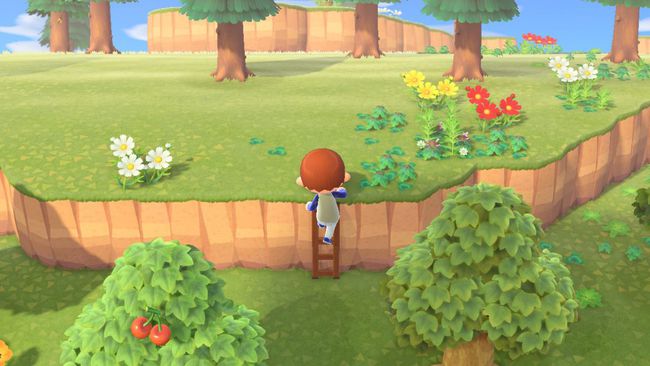 Использование лестницы в Animal Crossing: New Horizons.