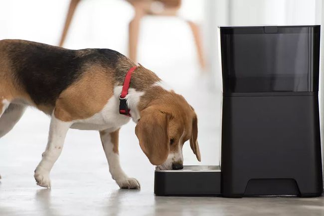 PetNet Smart Dog Feeder – töötab koos Google Home'iga