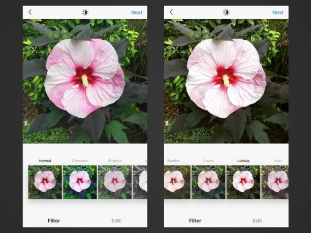 Dua tangkapan layar Instagram untuk iOS