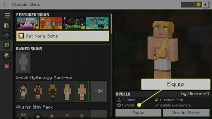 Minecraft クラシック スキン メニューで強調表示されているスキンをさらに入手し、ボタンを装備します。