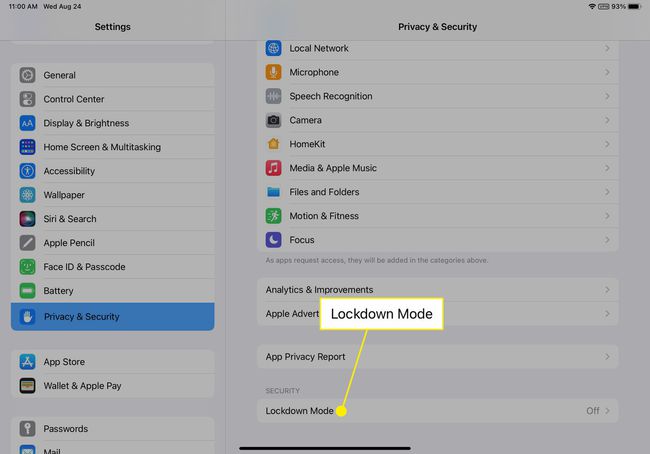 iPad 개인 정보 설정의 잠금 모드
