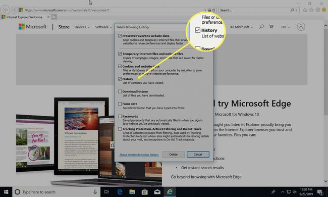 Ventana de eliminación del historial de navegación de Internet Explorer con el elemento Historial resaltado