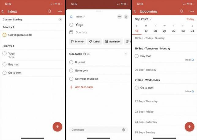 iPhone の Todoist タスク管理アプリ。