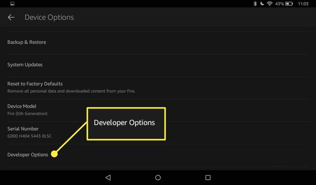 A Kindle Fire eszközbeállításai láthatók a fejlesztői beállításokkal.