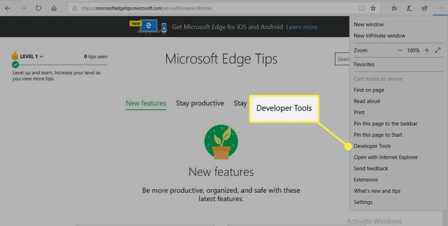 Una captura de pantalla de Microsoft Edge con el elemento de menú Herramientas para desarrolladores resaltado