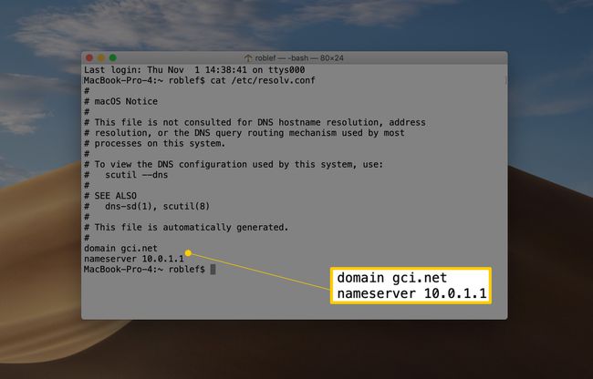 Finestra del terminale macOS che mostra il risultato del comando cat etcresolv.conf, del dominio e del server dei nomi